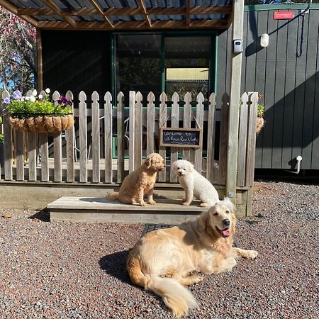 Willows Reach Lodge Kumeu 外观 照片