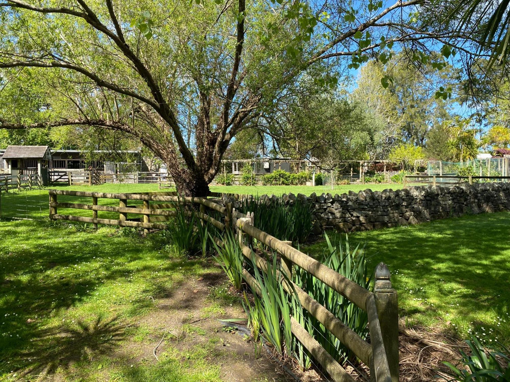 Willows Reach Lodge Kumeu 外观 照片