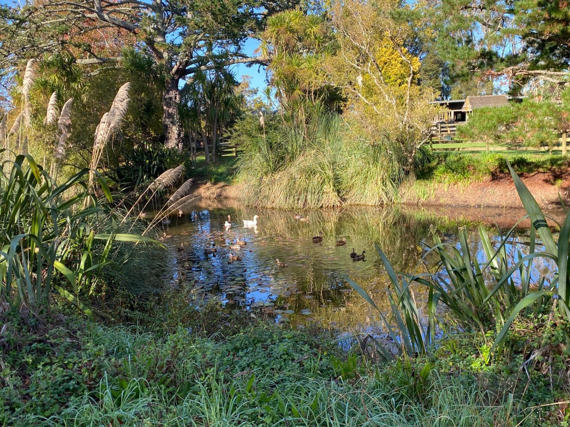 Willows Reach Lodge Kumeu 外观 照片