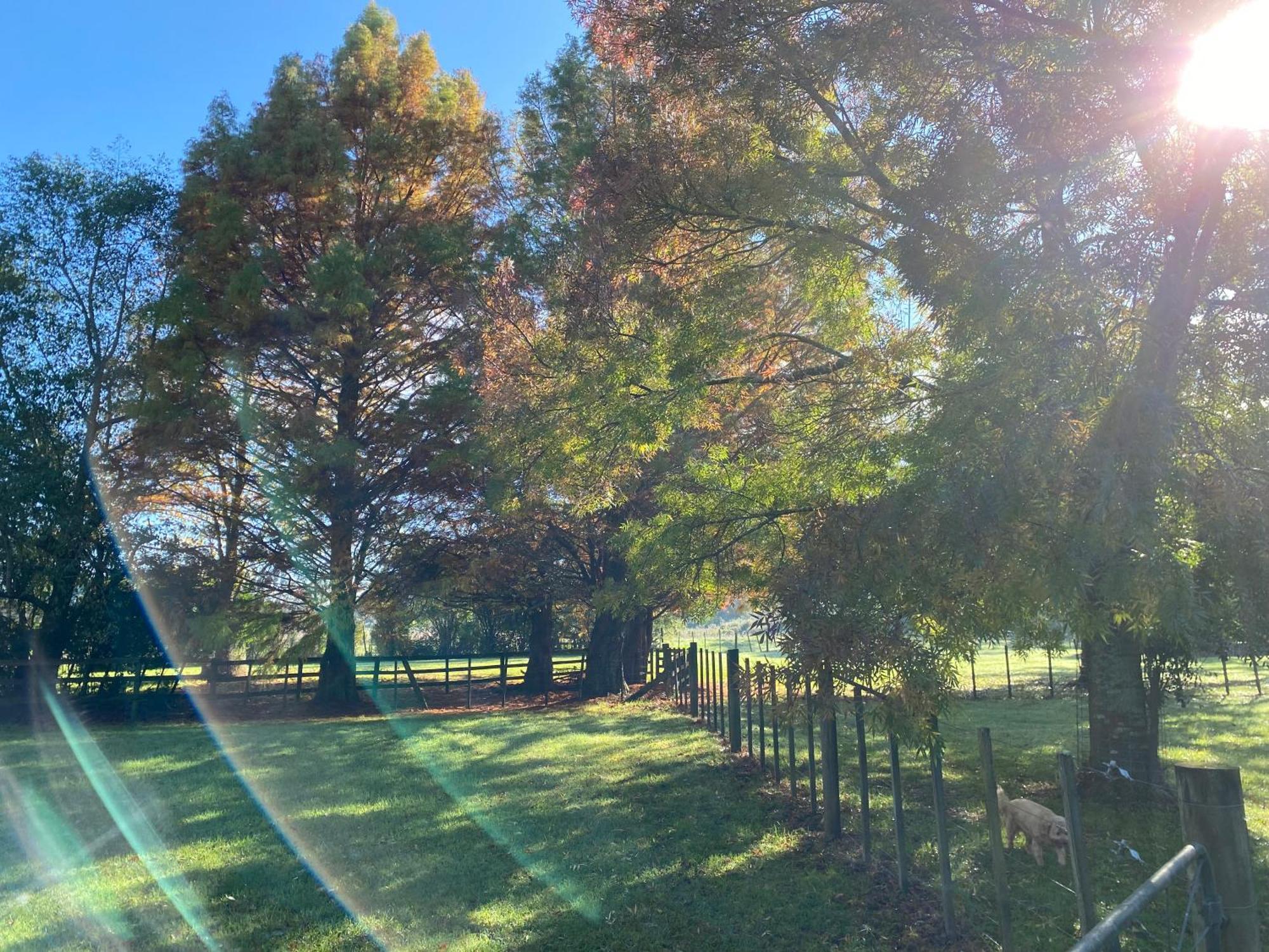 Willows Reach Lodge Kumeu 外观 照片