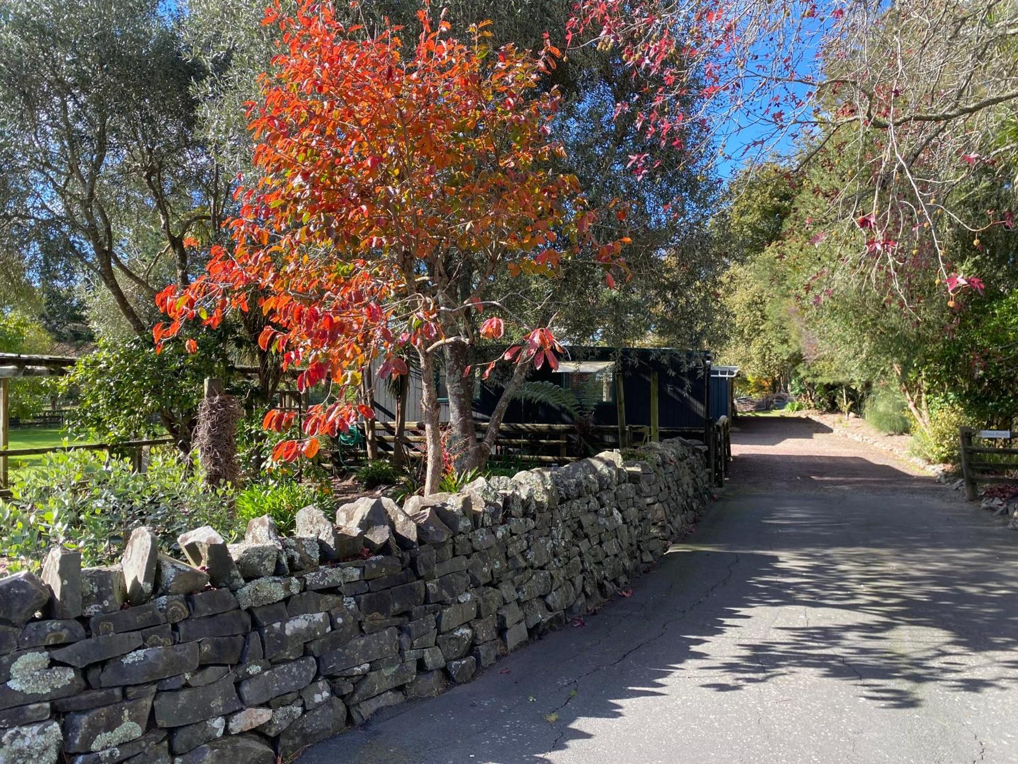Willows Reach Lodge Kumeu 外观 照片