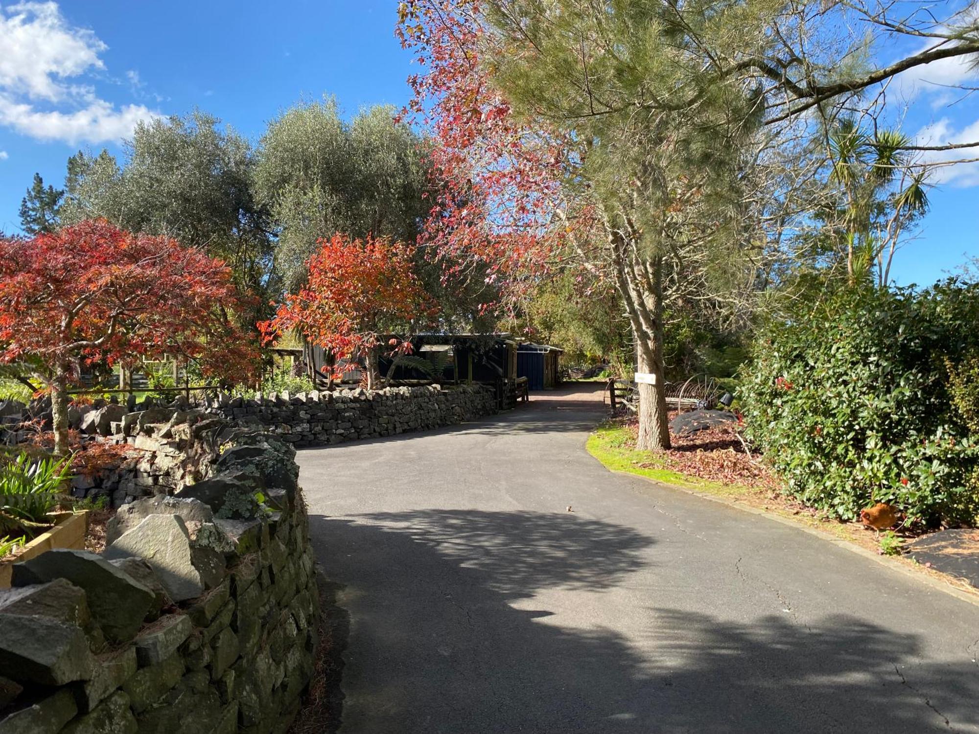 Willows Reach Lodge Kumeu 外观 照片